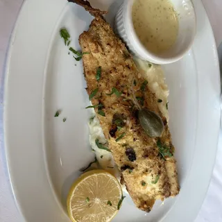 Trout Amandine