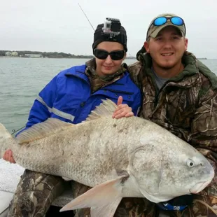 Huge 50lb black drum!