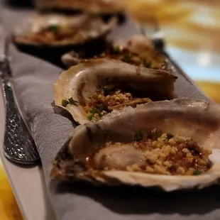 oysters, food, oysters and mussels, mussels, shellfish