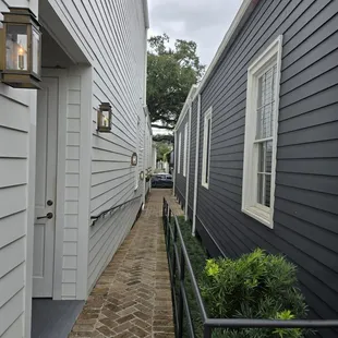 loved the latern lined walkway!