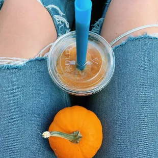 Baby Pumpkin + Apple Cider Slush