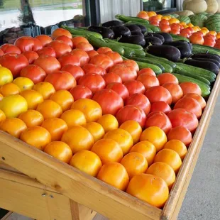 Fruit &amp; Vegetable Season