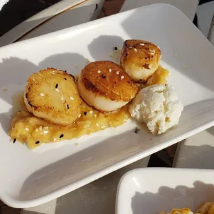 Seared Scallops