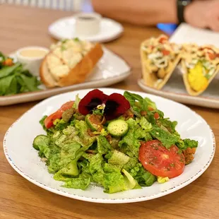 Cafe Greek Salad - gem lettuce, petite cucumbers, roasted tomatoes, red onion, chopped olives, marinated peppers