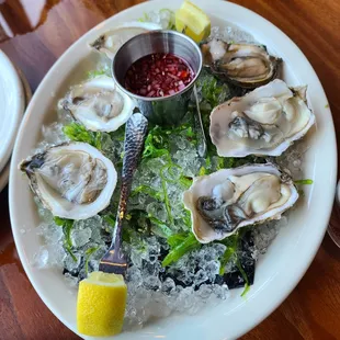 Oysters