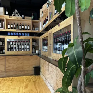 shelves of wine in a wine shop
