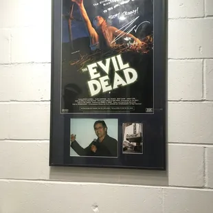 Signed Evil Dead