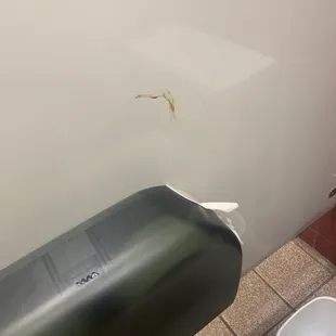 Poop on the wall