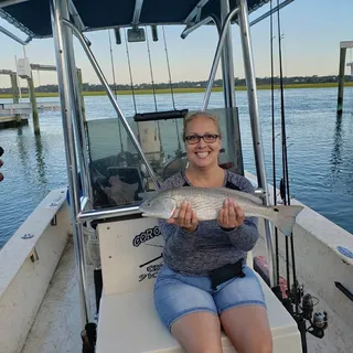 6pc Fried Catfish Only