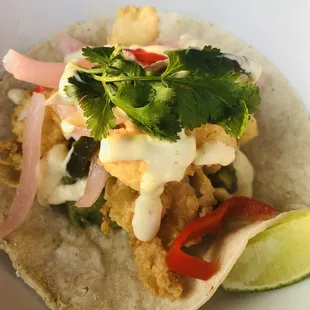Shrimp Taco