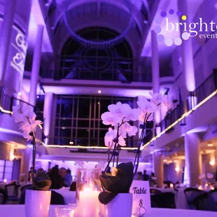 Deep Purple uplighting at the beautiful Library Galleria | uplighting by Brighten Up Event Lighting BrightenUpLighting.com