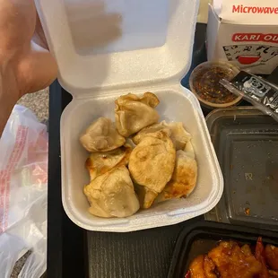 Fried Dumplings