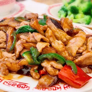 Pork &amp; Eggplant in Spicy Garlic Sauce