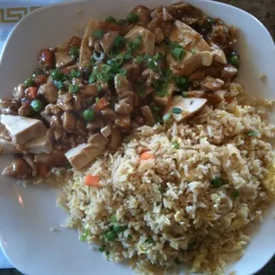 Chicken and tofu with fried rice.