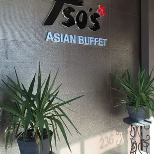 sushi and sashimi, interior