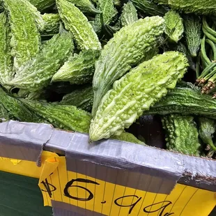 Bittermelon