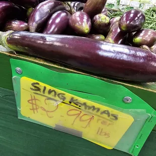 Eggplant