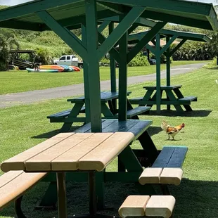 Picnic Area