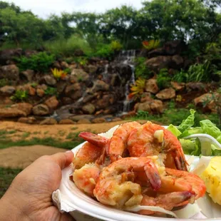 a hand holding a plate of food