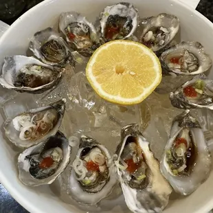 Raw Oysters