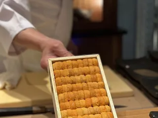 The Office of Mr Moto