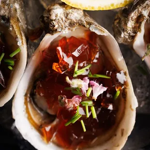 Signature Oyster
