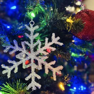 Holiday decorations on the inside, close up of their tree.