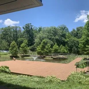Perfect view