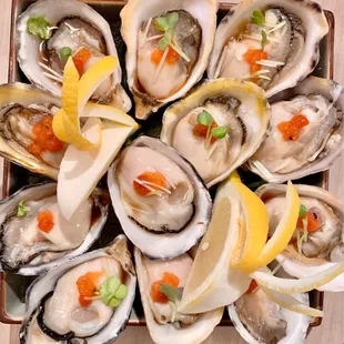 Kussi Fresh Oysters