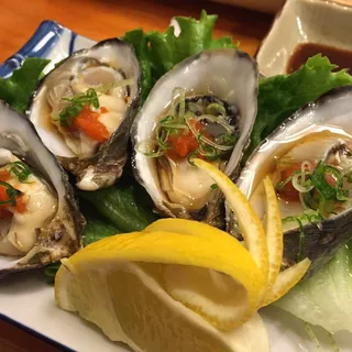 Fresh Oysters