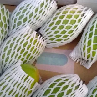 KESAR MANGOES FROM INDIA