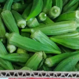 FRESH OKRA