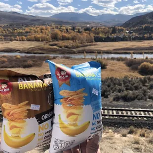 Have you ever tried banana chips?  Taste similarly to regular potato chips and sour cream onion potato chips, AMAZINGly yummy!!