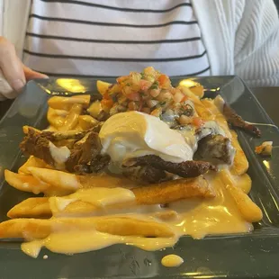 Mexican Asada Fries