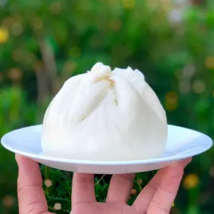 a person holding a plate of food