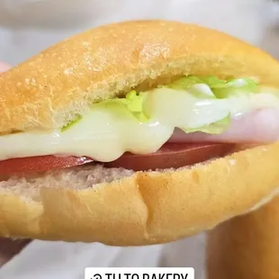 a hand holding a sandwich