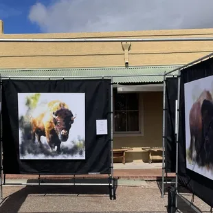 Tubac Festival of the Arts February 7-11, 2024