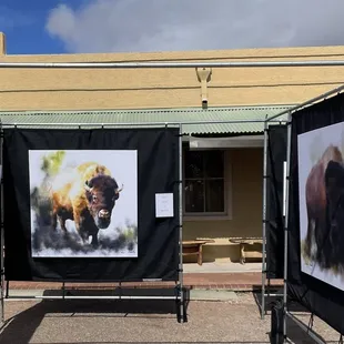 Tubac Festival of the Arts February 7-11, 2024