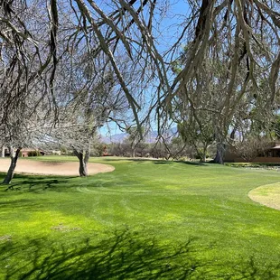 8th Green - Otero
