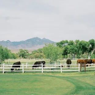 View from the restaurant