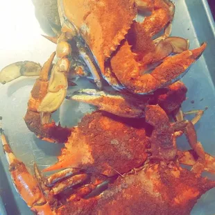 Tuckahoe Seafood Crabs