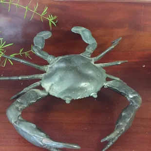 a crab on a table
