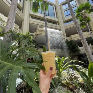 Tropical smoothie
