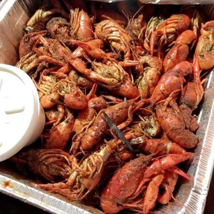 Old crawfish