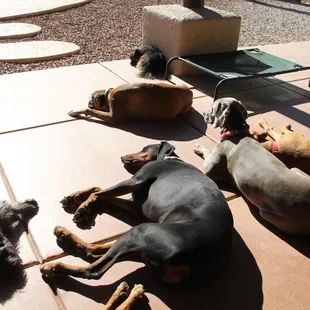 Lounging by the pool