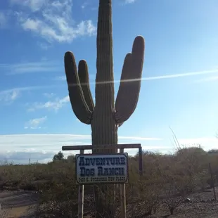 Adventure Dog Ranch sign