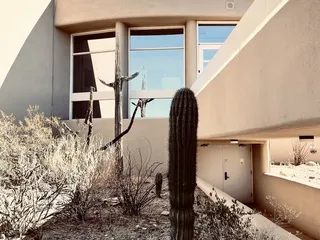Saguaro National Park  - Tucson