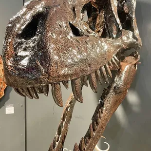 the 69th Tucson Gem and Mineral Show® February 8-11, 2024.