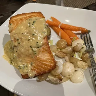 salmon