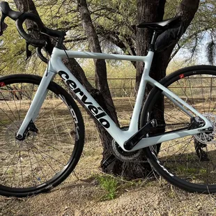 Cervelo Caledonia from Tucson Endurance.